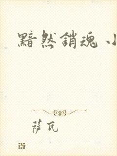 黯然销魂 小说