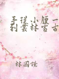 手从小腹一路开到丛林处古代