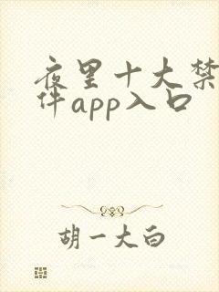 夜里十大禁用软件app入口