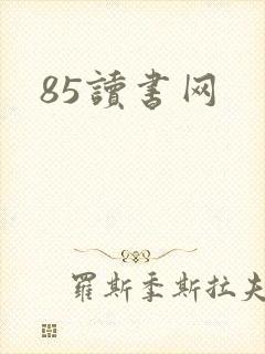 85读书网