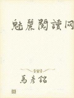 魅丽阅读网