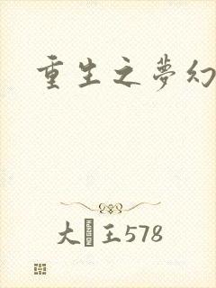 重生之梦幻年代