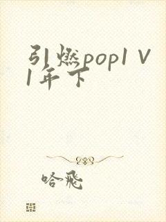 引燃pop1∨1年下