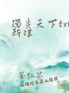 独步天下txt新浪