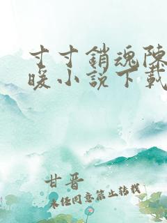 寸寸销魂陈聪王暖小说下载