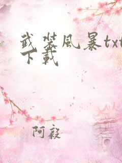 武装风暴txt下载