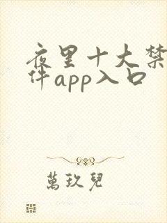 夜里十大禁用软件app入口