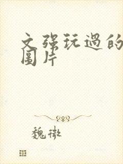 文强玩过的女人图片