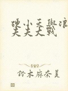 硬小天与浪小辉夫夫大战