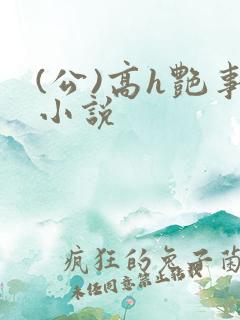 (公)高h艳事小说