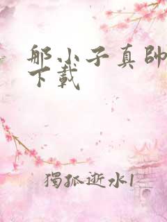 那小子真帅小说下载