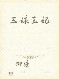 三嫁王妃