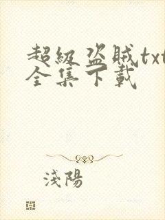 超级盗贼txt全集下载
