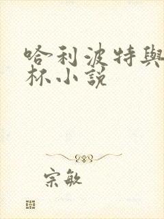 哈利波特与火焰杯小说