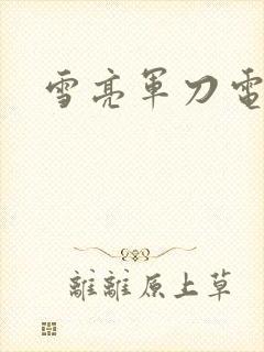 雪亮军刀电视剧