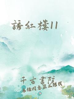 诱红楼11