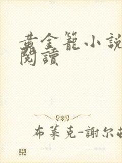 黄金笼小说免费阅读