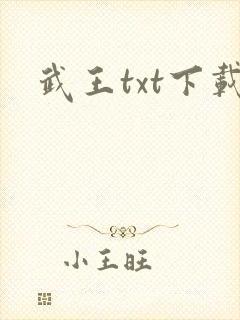 武王txt下载