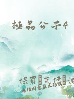 极品公子4