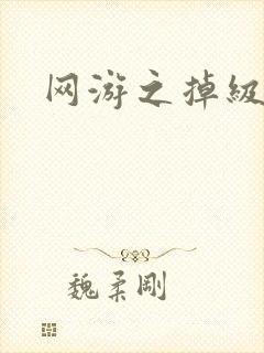 网游之掉级专家