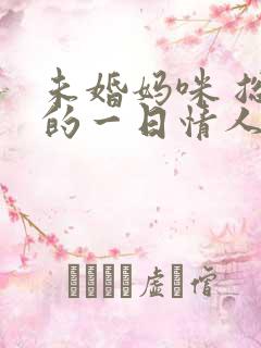 未婚妈咪 总裁的一日情人
