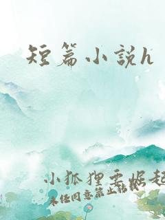 短篇小说h