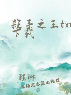 杀手之王txt下载