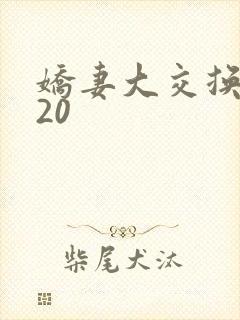 娇妻大交换1一20