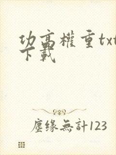 功高权重txt下载