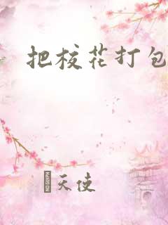 把校花打包带走