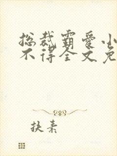 总裁霸爱小妻惹不得全文免费阅读笔趣阁