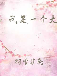 我是一个大盗贼