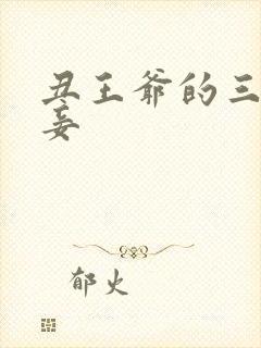 丑王爷的三妻四妾