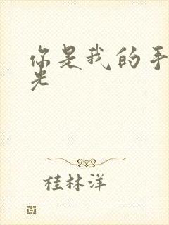 你是我的手冢国光