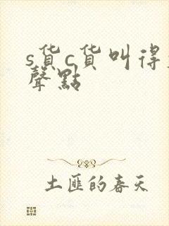 s货c货叫得大声点