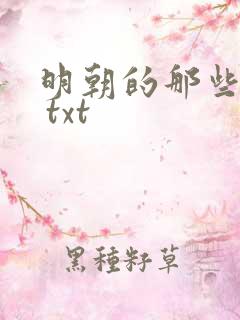 明朝的那些事儿 txt