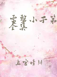 电击小子第二部全集