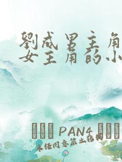 刘成男主角刘雪女主角的小说