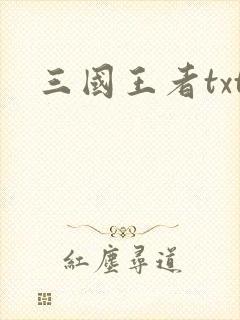 三国王者txt