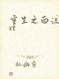 重生之白流苏txt
