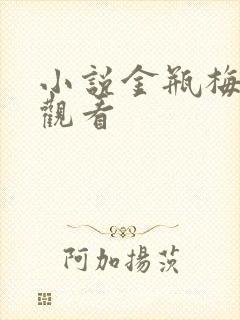 小说金瓶梅在线观看