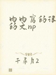 肉肉写的很细致的文np