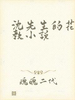 沈先生的花式调教小说