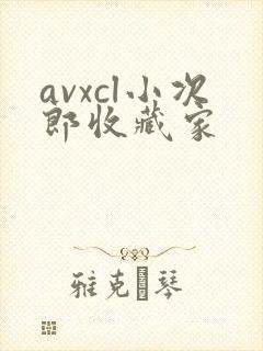 avxcl小次郎收藏家
