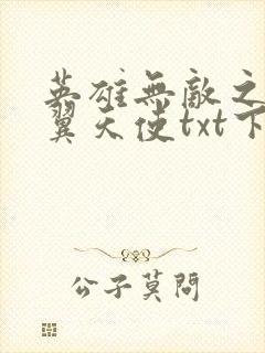 英雄无敌之十二翼天使txt下载