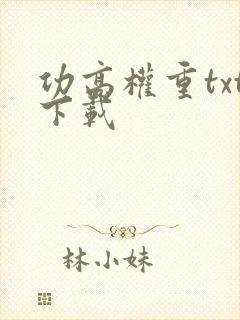 功高权重txt下载