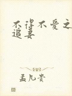 不得不爱之冷少追妻