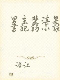 男主裴湛是省委书记的小说