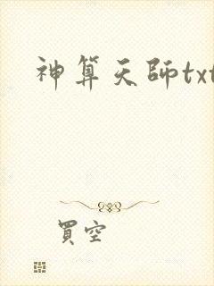 神算天师txt