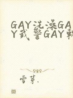 GAY洗澡GAY武警GAY软件